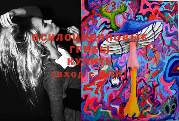 спиды Михайловск