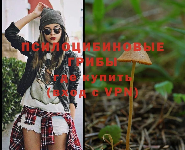 эйфоретик Богородицк