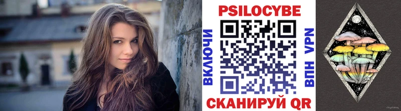 где можно купить   Ярославль  Псилоцибиновые грибы Cubensis 